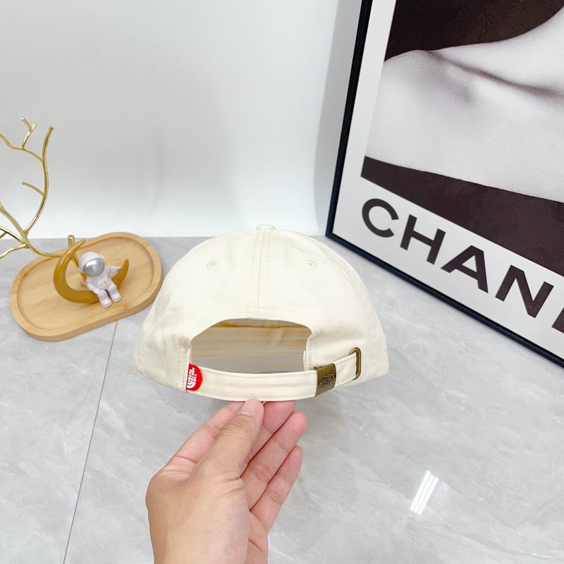 The North Face cap dx (334)