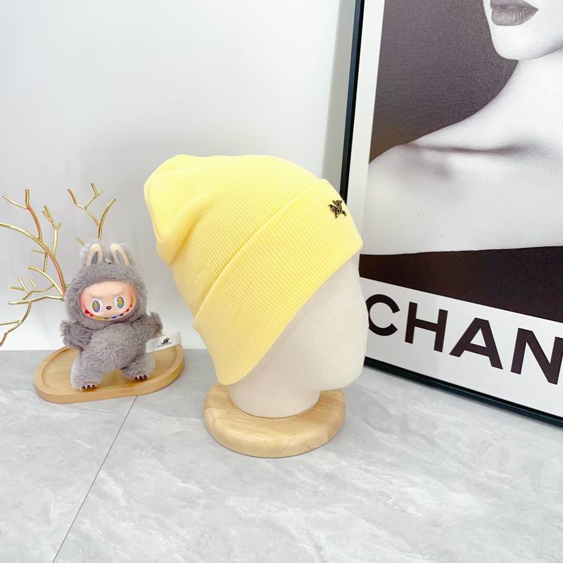 Arcteryx Hat dx (313)