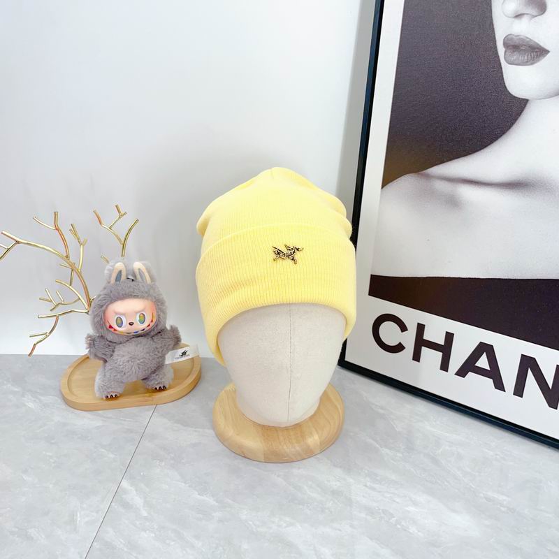 Arcteryx Hat dx (314)