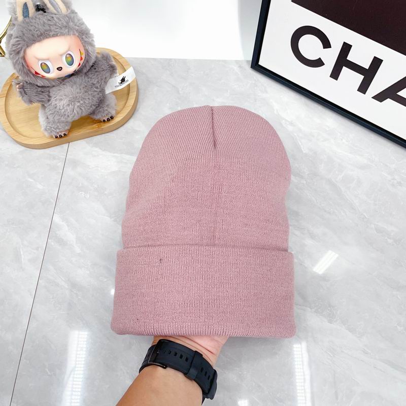 Arcteryx Hat dx (317)