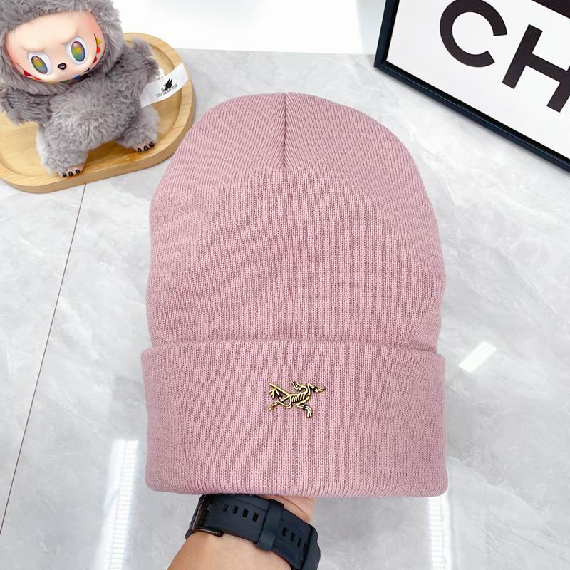 Arcteryx Hat dx (319)