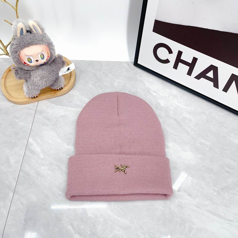 Arcteryx Hat dx (320)