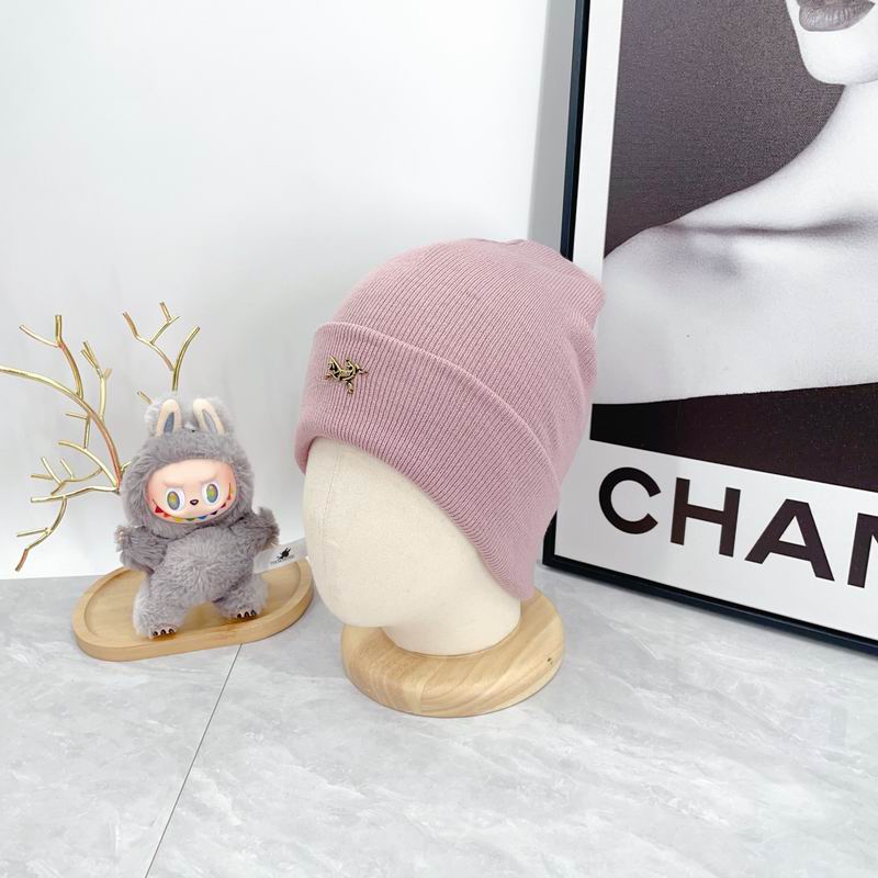 Arcteryx Hat dx (322)