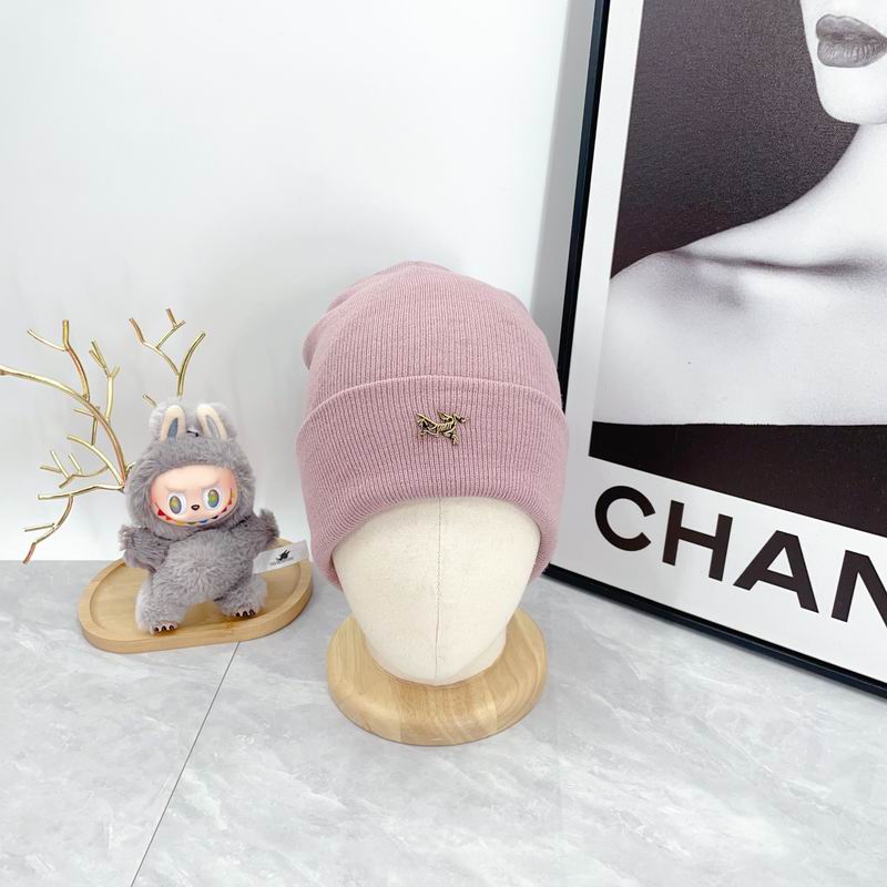 Arcteryx Hat dx (323)