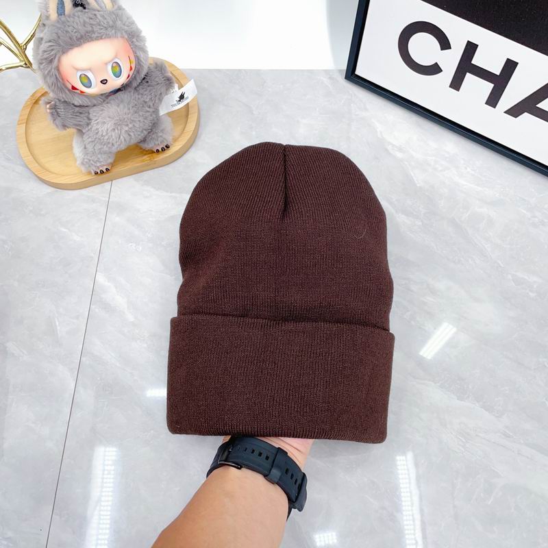 Arcteryx Hat dx (326)