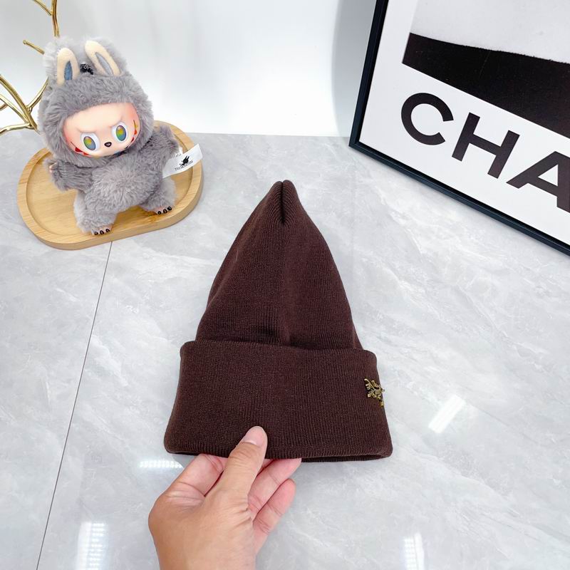 Arcteryx Hat dx (327)