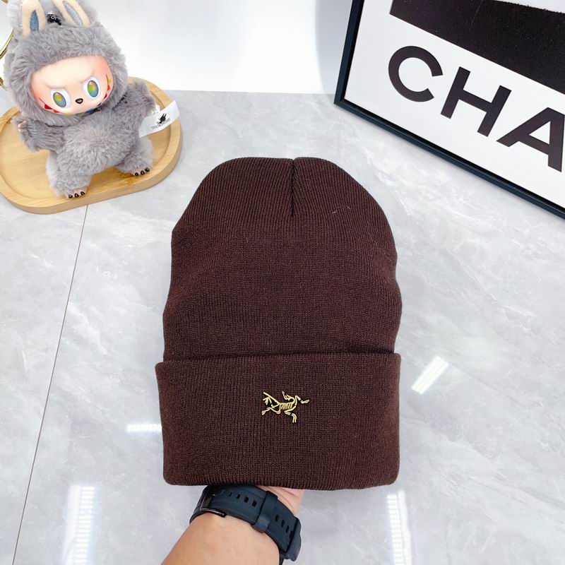 Arcteryx Hat dx (328)