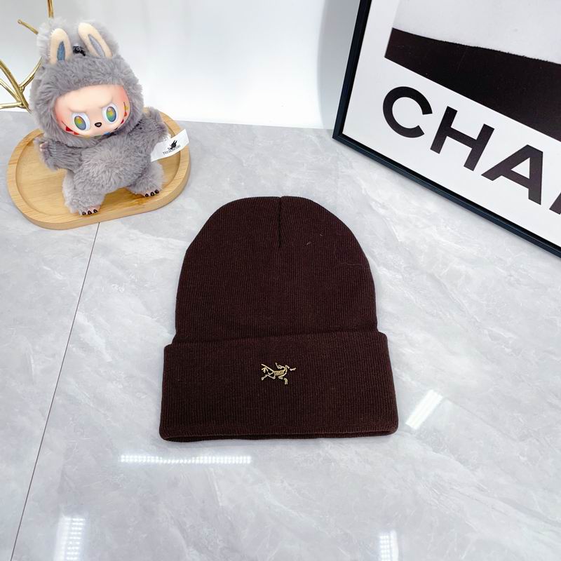 Arcteryx Hat dx (329)