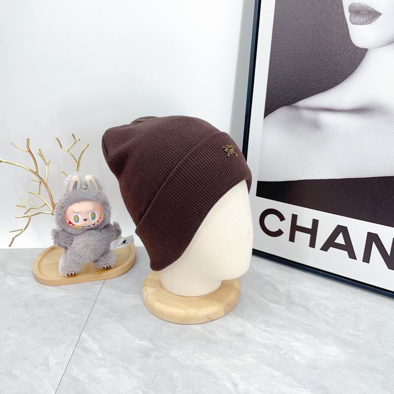 Arcteryx Hat dx (330)