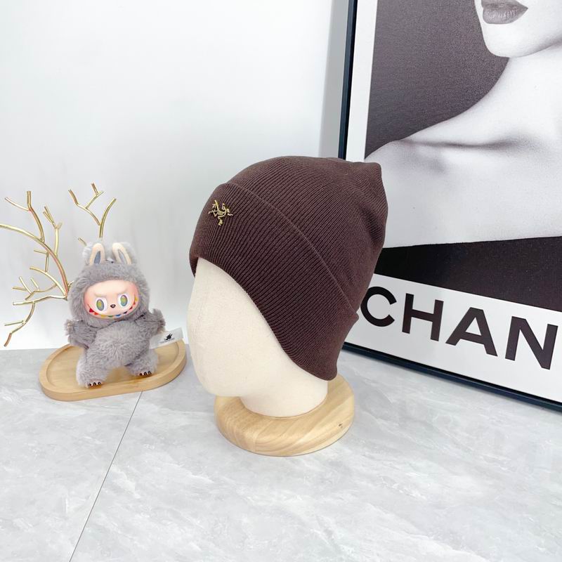 Arcteryx Hat dx (331)