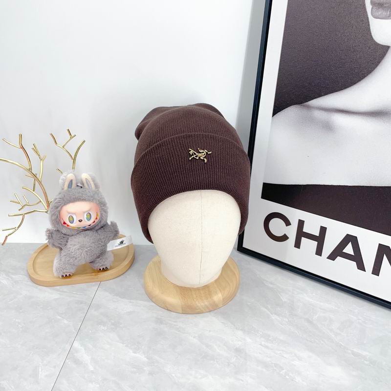 Arcteryx Hat dx (332)