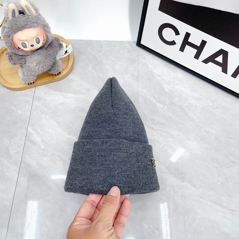 Arcteryx Hat dx (336)