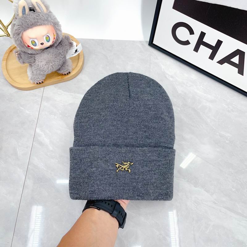 Arcteryx Hat dx (337)