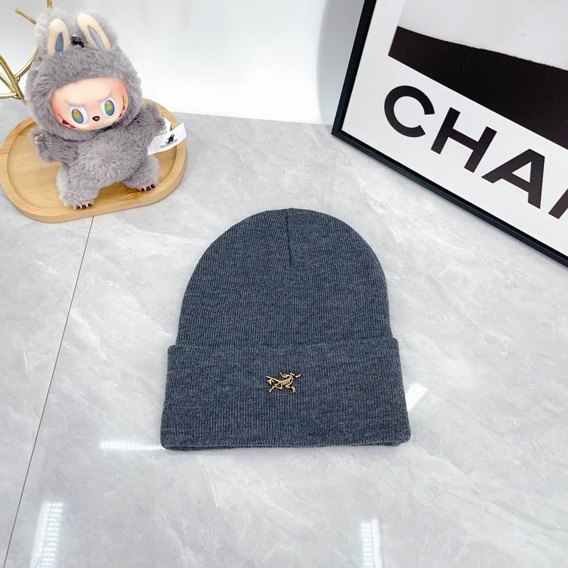 Arcteryx Hat dx (338)