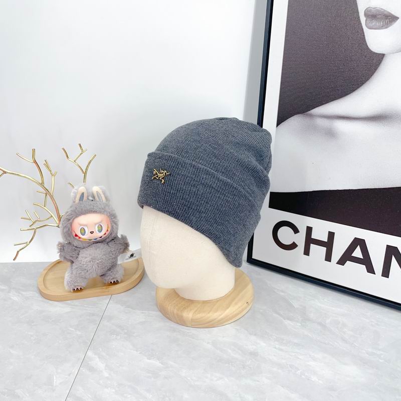 Arcteryx Hat dx (339)