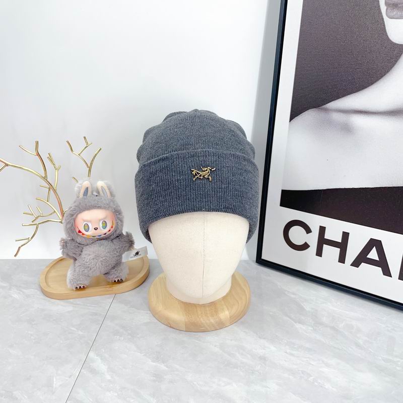 Arcteryx Hat dx (341)