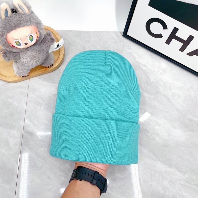 Arcteryx Hat dx (344)