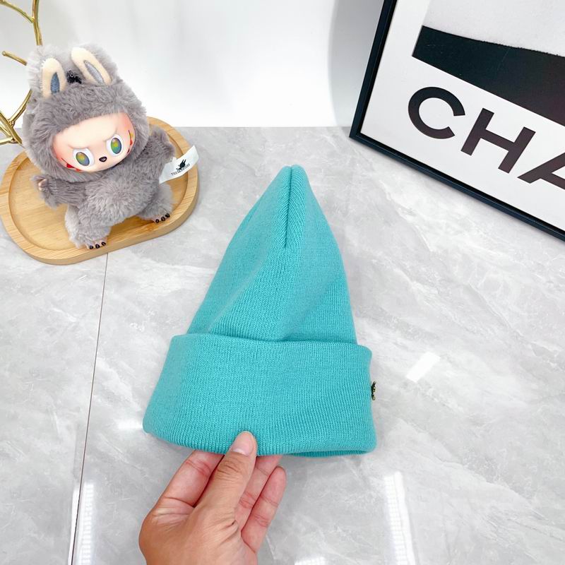 Arcteryx Hat dx (345)