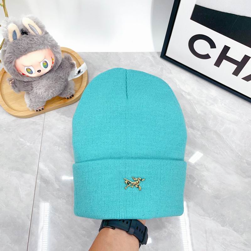 Arcteryx Hat dx (346)