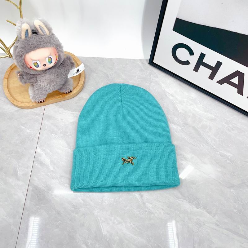 Arcteryx Hat dx (347)