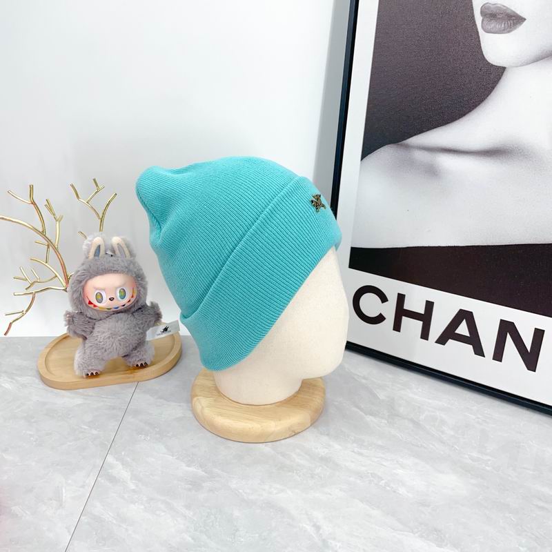 Arcteryx Hat dx (348)