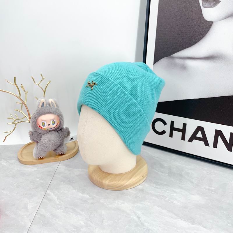 Arcteryx Hat dx (349)