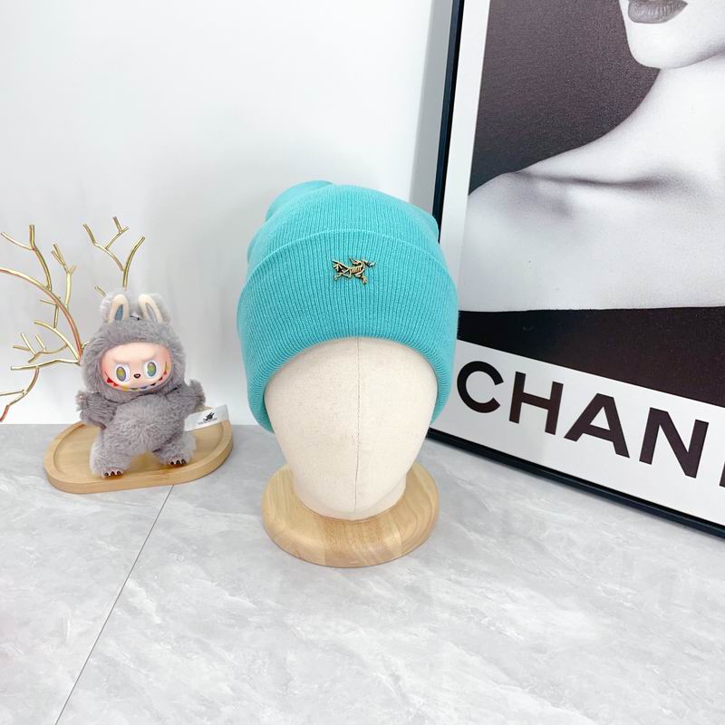 Arcteryx Hat dx (350)