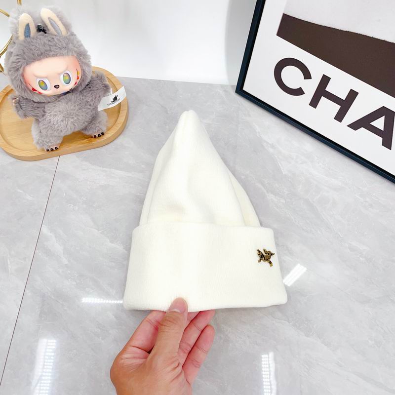 Arcteryx Hat dx (354)