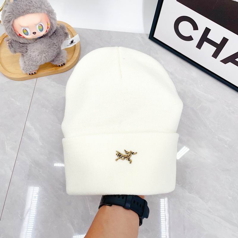 Arcteryx Hat dx (355)