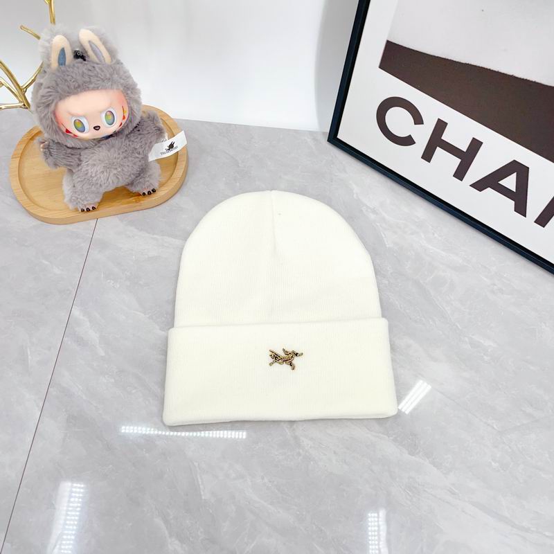 Arcteryx Hat dx (356)