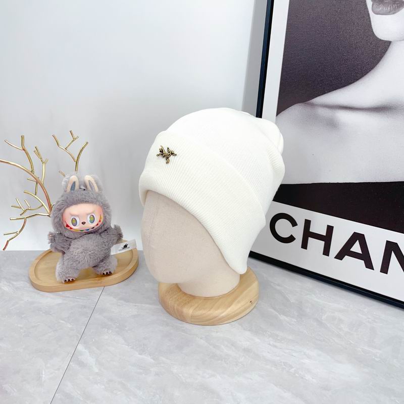 Arcteryx Hat dx (357)