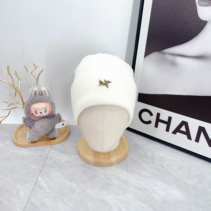 Arcteryx Hat dx (359)