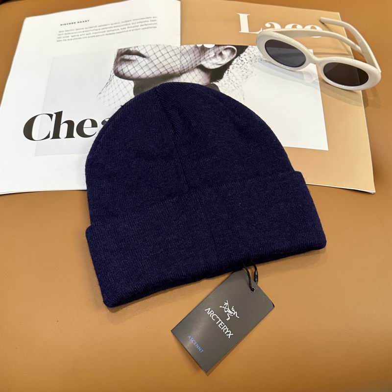 Arcteryx Hat dx (730)