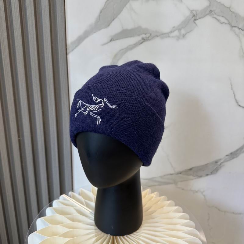 Arcteryx Hat dx (731)