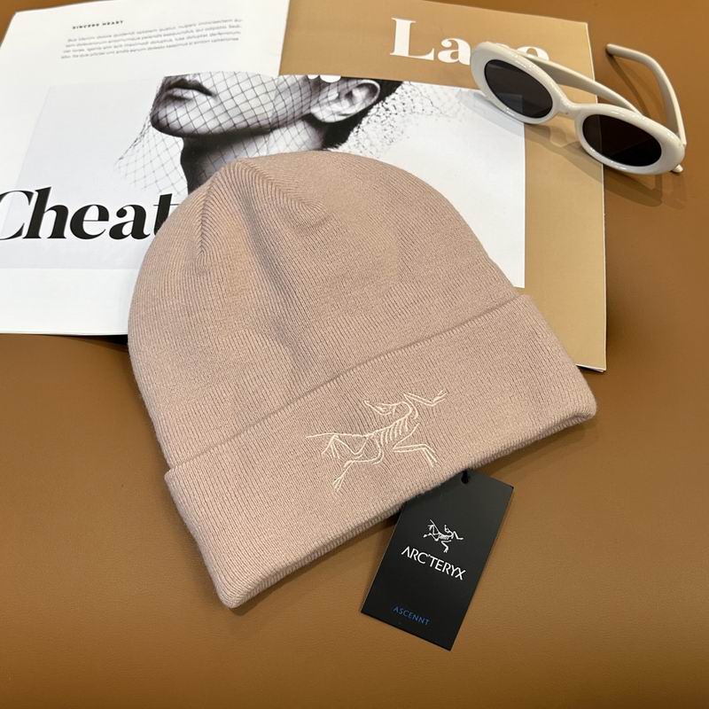 Arcteryx Hat dx (735)