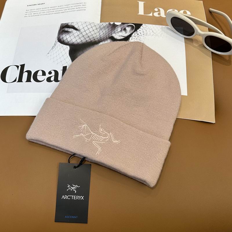 Arcteryx Hat dx (739)