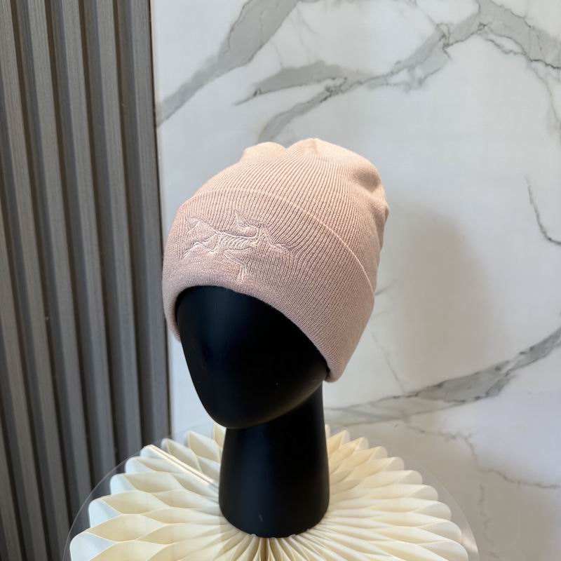 Arcteryx Hat dx (740)