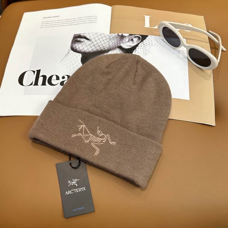 Arcteryx Hat dx (744)