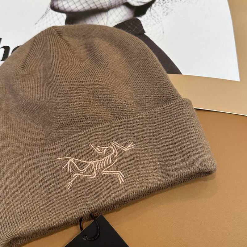 Arcteryx Hat dx (745)