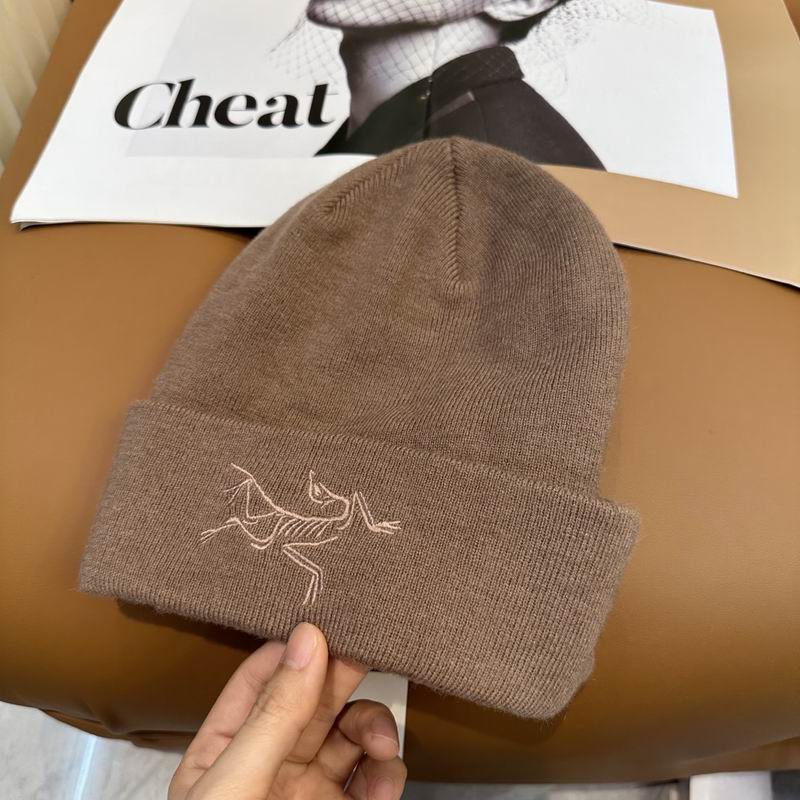 Arcteryx Hat dx (748)