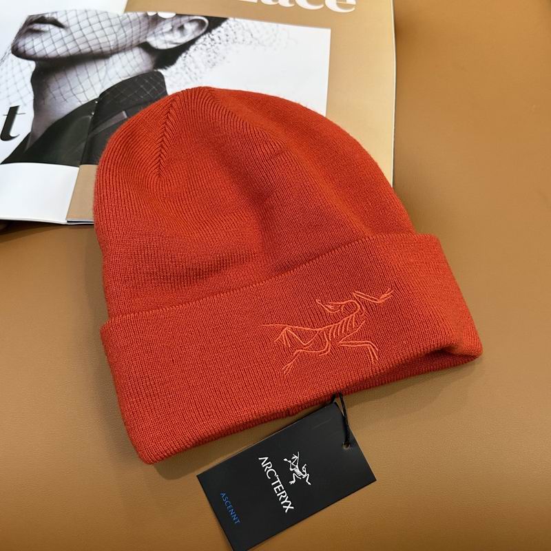 Arcteryx Hat dx (751)