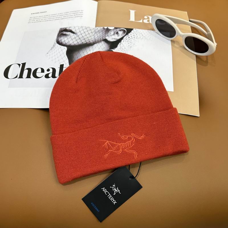 Arcteryx Hat dx (752)