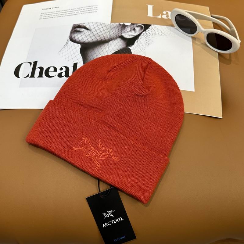 Arcteryx Hat dx (753)