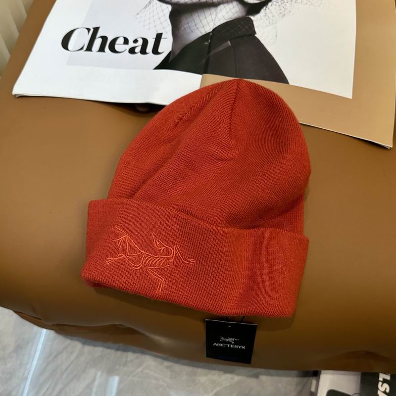 Arcteryx Hat dx (757)