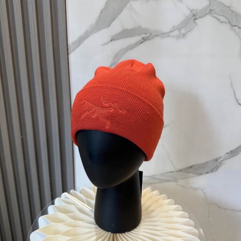 Arcteryx Hat dx (758)