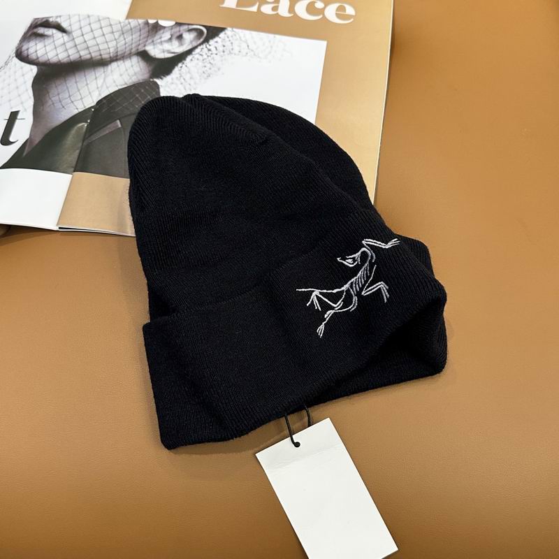 Arcteryx Hat dx (760)