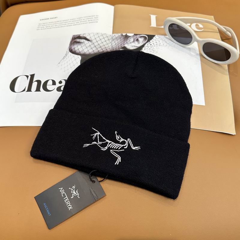 Arcteryx Hat dx (762)