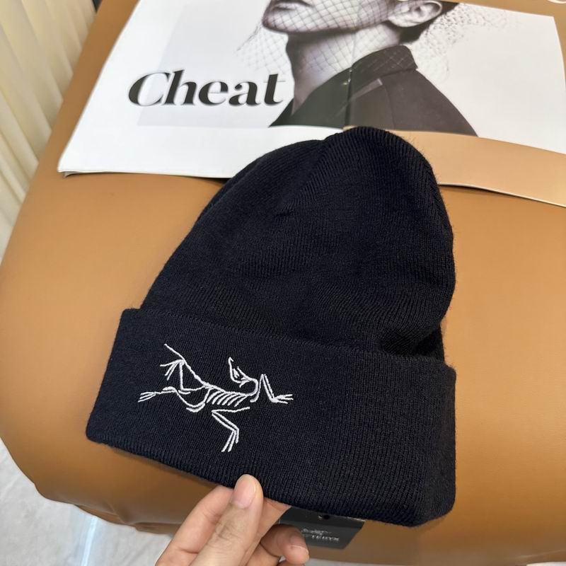 Arcteryx Hat dx (766)