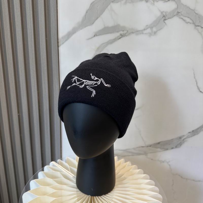 Arcteryx Hat dx (767)