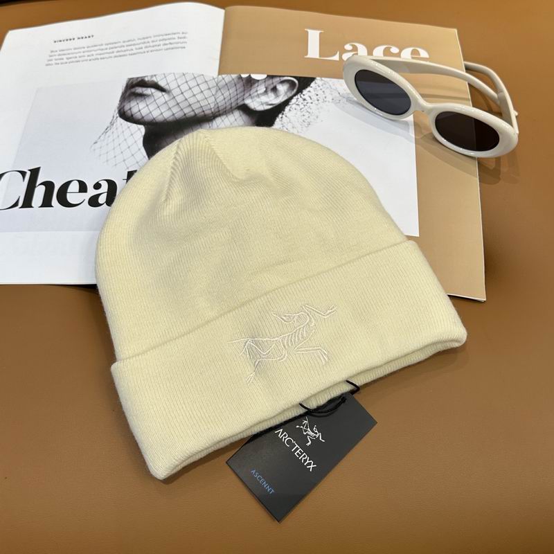 Arcteryx Hat dx (770)